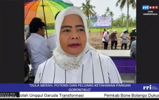 Hilirisasi Gula Aren Masih Terkendala