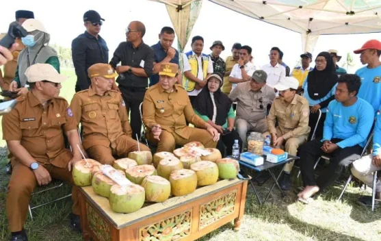 879 Hektar Program Cetak Sawah di Pohuwato Mulai Dimanfaatkan