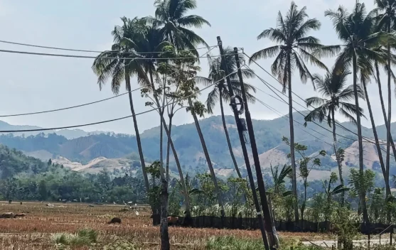 BMKG: Cuaca Gorontalo Umumnya Cerah Berawan Sabtu Ini, Waspada Kemarau