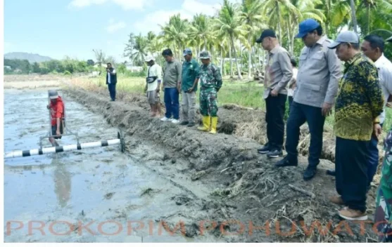 Lahan Tidur Pohuwato Mulai Kembali Jadi Sawah
