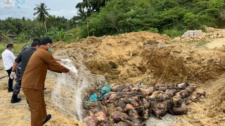 Himbauan Patuhi Aturan Karantina Hewan