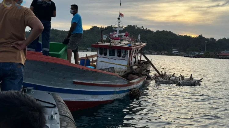 Himbauan Patuhi Aturan Karantina Hewan