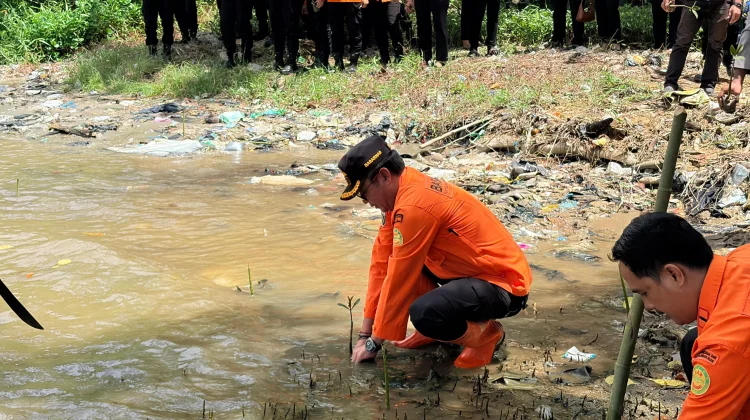 Rayakan HUT Ke-54, Basarnas Nias Tanam Mangrove