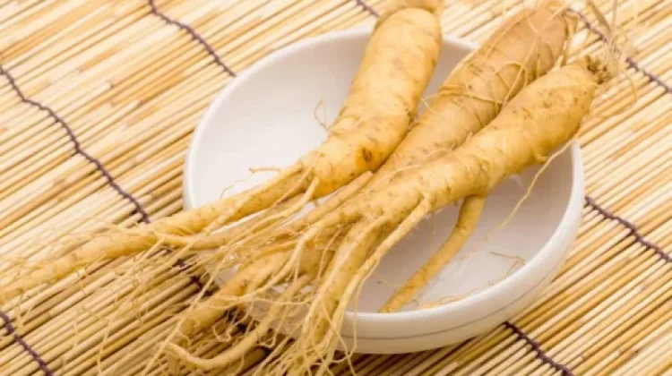 Rahasia Manfaat Sehat Dari Akar Ginseng
