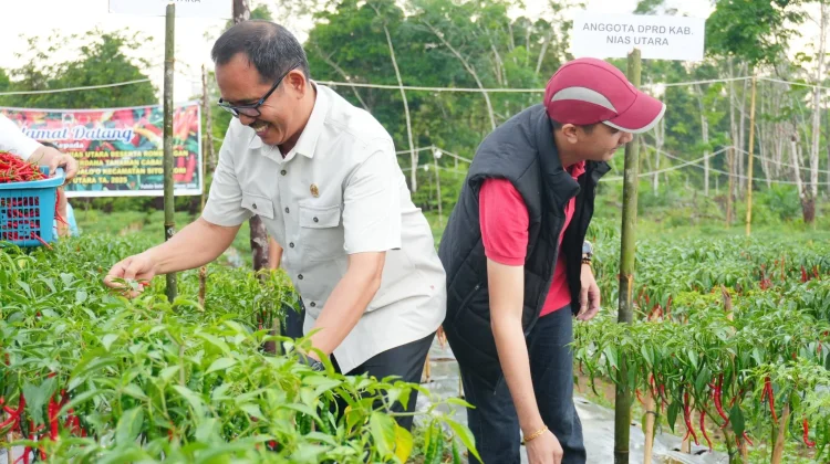Ketua DPRD Nias Utara Apresiasi Inovasi Desa Fulolo Salo'o