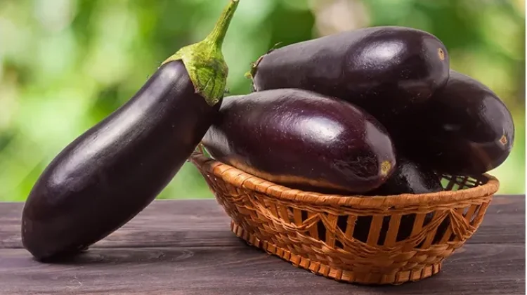 Manfaat Sehat Konsumsi Sayur Terung Ungu