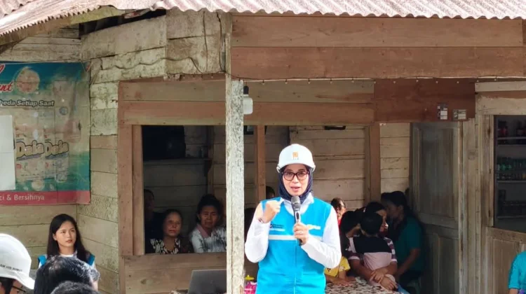 Direktur Distribusi PLN : Listrik Pintu Masuk Kemajuan Desa