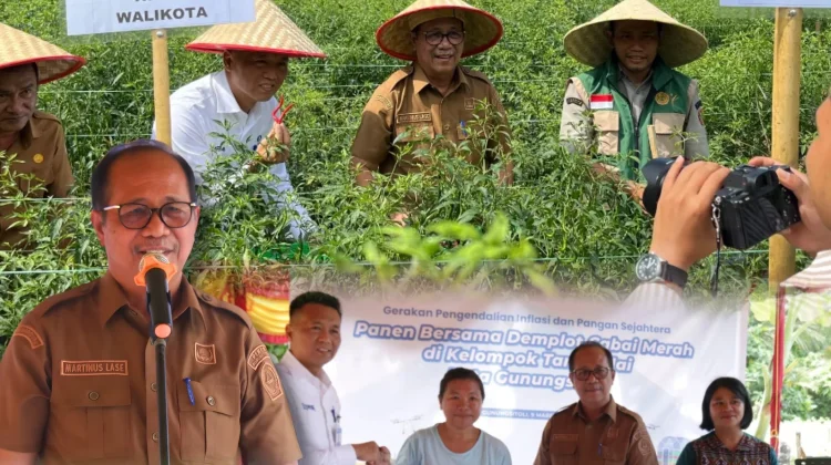 Peningkatan Produksi Pertanian