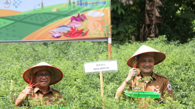Peningkatan Produksi Pertanian