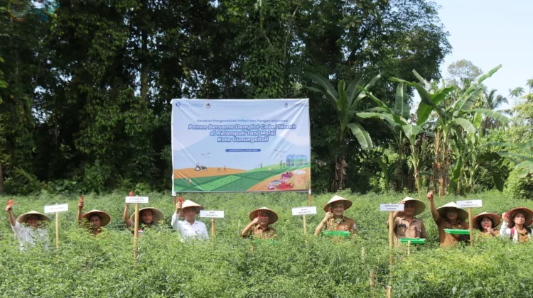 Peningkatan Produksi Pertanian