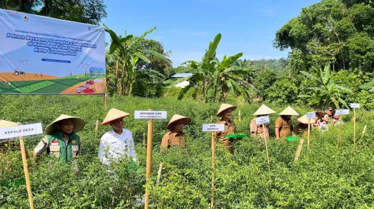 Peningkatan Produksi Pertanian