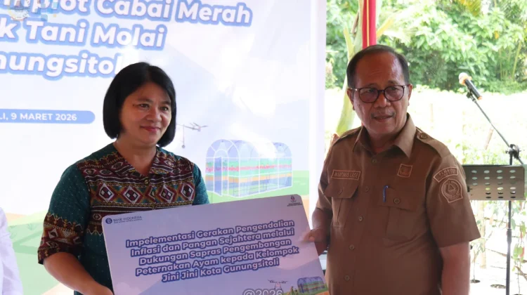 Peningkatan Produksi Pertanian