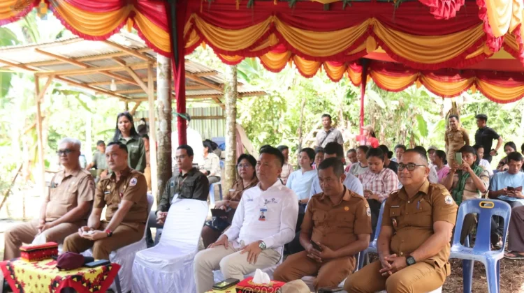 Peningkatan Produksi Pertanian