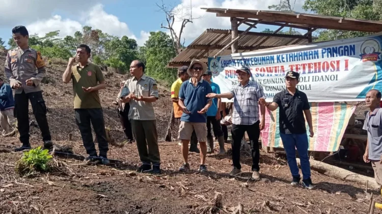 Penanaman Jagung Hibrida Bumdes Sowua