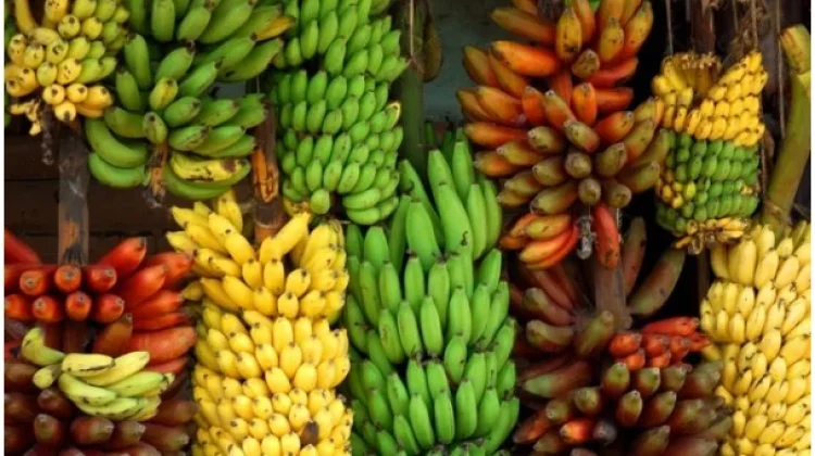 Cara Sehat Konsumsi Buah Pisang