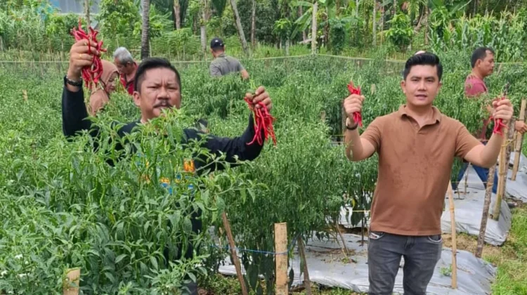 Wujud Kemandirian Ekonomi Desa