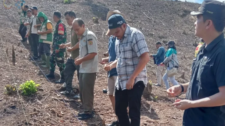Penanaman Jagung Hibrida di Desa Tetehosi I