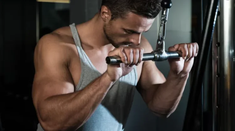 Tricep Pull Down, Bukan Sekadar Gerakan Tambahan tapi Kunci Kekuatan Lengan
