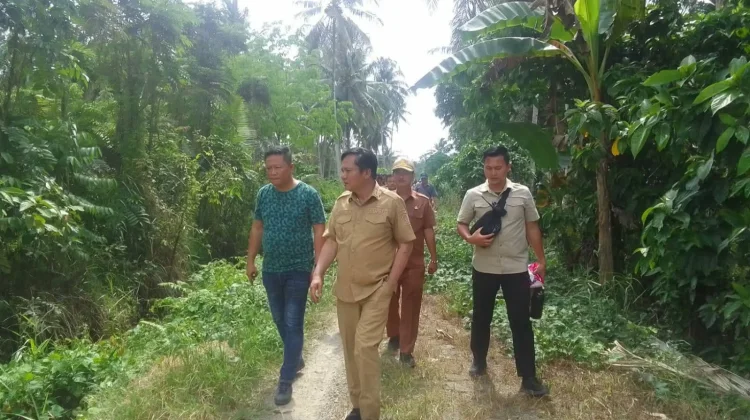 Bupati Nias Barat Tinjau Lahan Sawah di desa Sitolubanua Lahomi