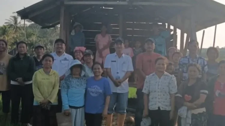 DKPP Nias Barat Tinjau Lahan Persawahan Kelompok Tani Sejalan