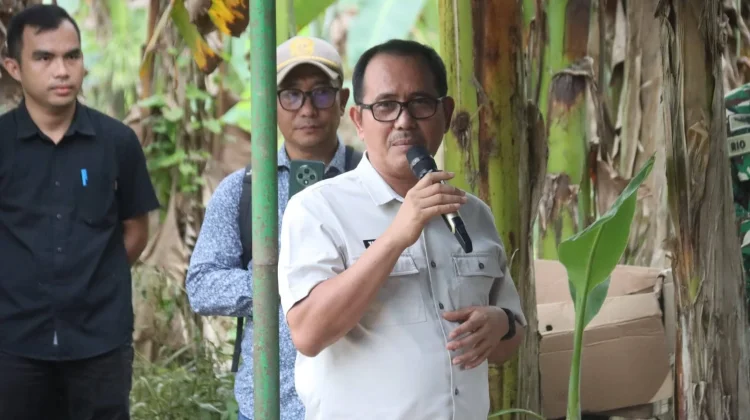 Ketua DPRD Nias Utara: Jembatan Garuda Kepedulian Pemerintah terhadap Masyarakat
