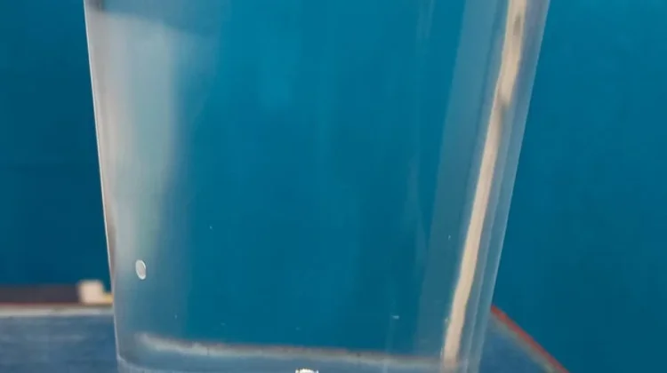 Rasakan Perubahan saat Cukup Minum Air