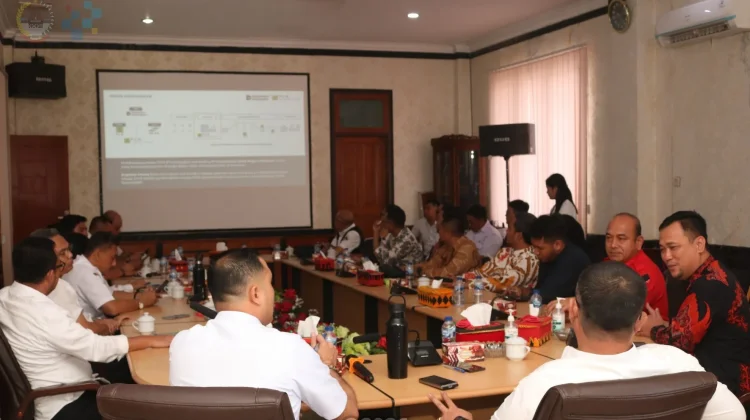 Audiensi Rencana Pembangunan PLTMG Nias 2 dan Nias 3