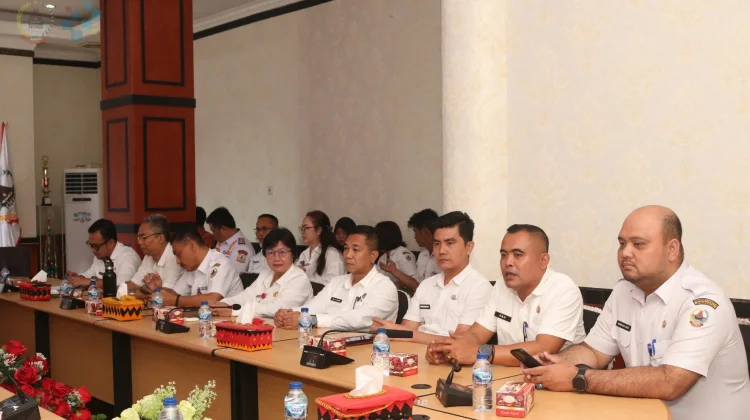 Audiensi Rencana Pembangunan PLTMG Nias 2 dan Nias 3