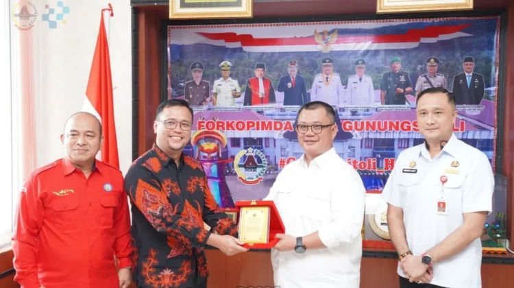 Audiensi Rencana Pembangunan PLTMG Nias 2 dan Nias 3