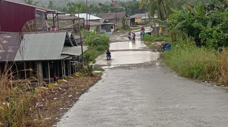 Akses Jalan Lotu–Lahewa Rusak, Pengendara Keluhkan Genangan Air dan Lubang