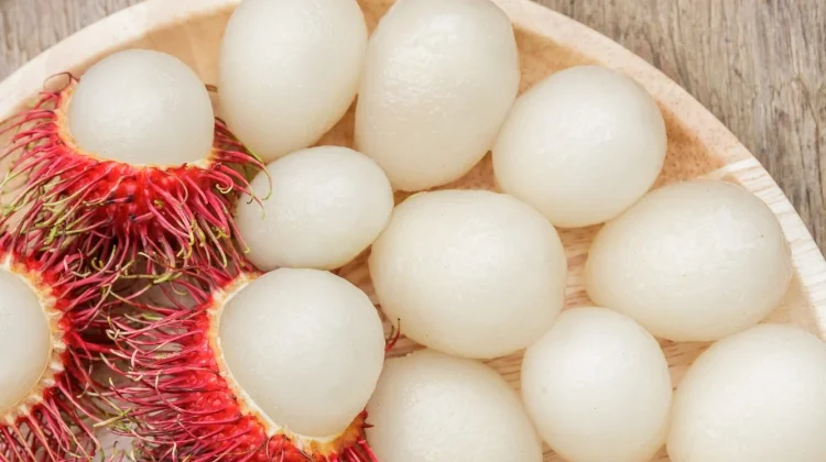 Manfaat Biji Rambutan untuk Kesehatan yang Jarang Diketahui