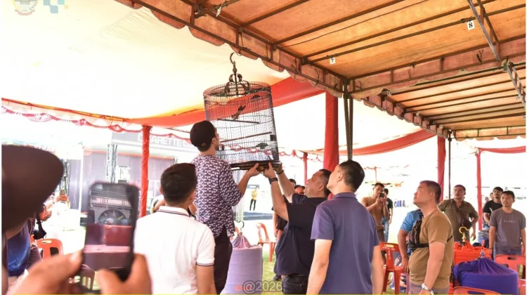 Kicau Mania Ramaikan HUT ke-348 Gunungsitoli