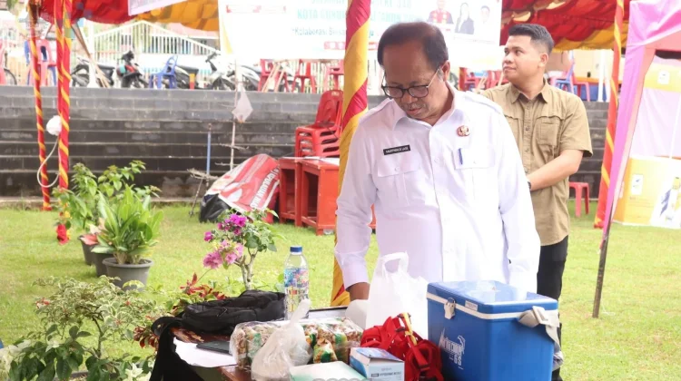 FLS3N 2026 Gunungsitoli: Ajang Tumbuhkan Kreativitas dan Karakter Siswa