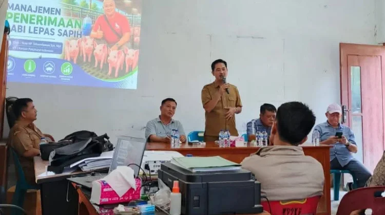 Pemkab Nias Barat Gelar Pelatihan Anak Kandang Ternak Babi