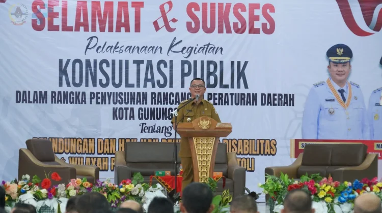 Wali Kota Gunungsitoli Buka Konsultasi Publik dan Deklarasi OPDIS LUMÖDA