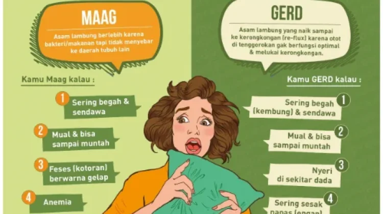 Perbedaan Maag dan GERD (Gastroesophageal Reflux Disease)