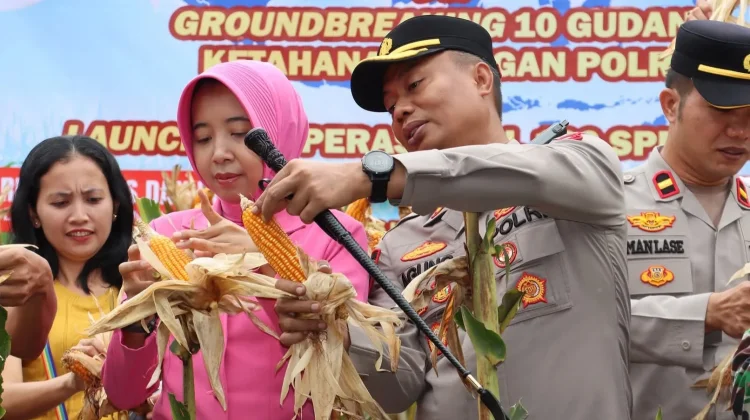 Panen Raya Jagung Serentak Kuartal II bersama Presiden