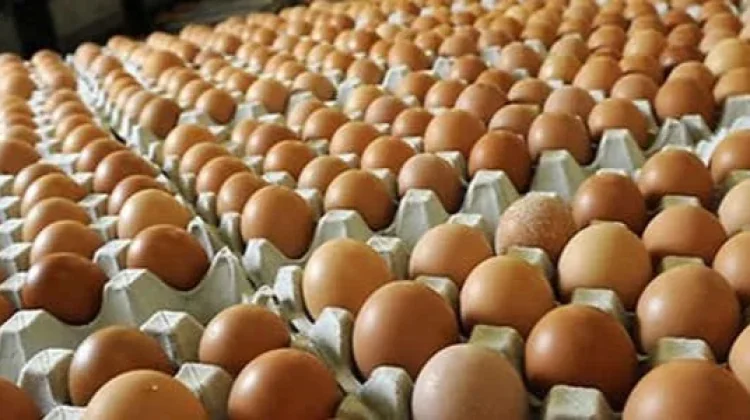 Satu Pekan jelang Idul Adha, Harga Dading Ayam Sedikit Merangkak Naik