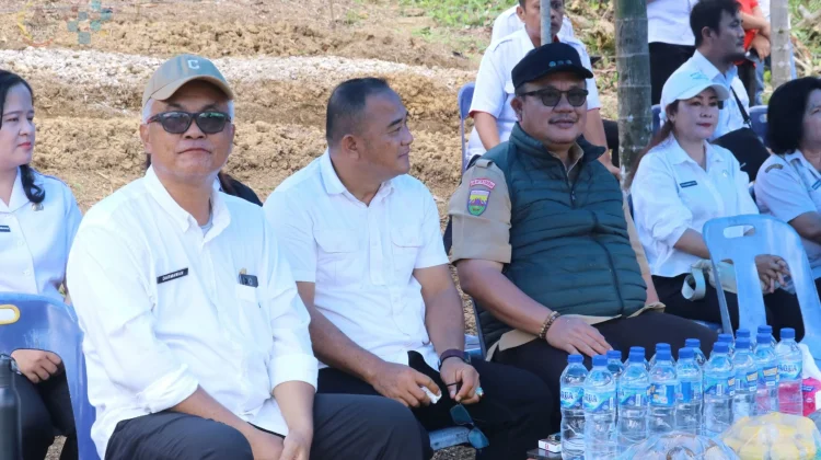 Panen Cabai Perdana, Bukti Desa Maju dan Mandiri