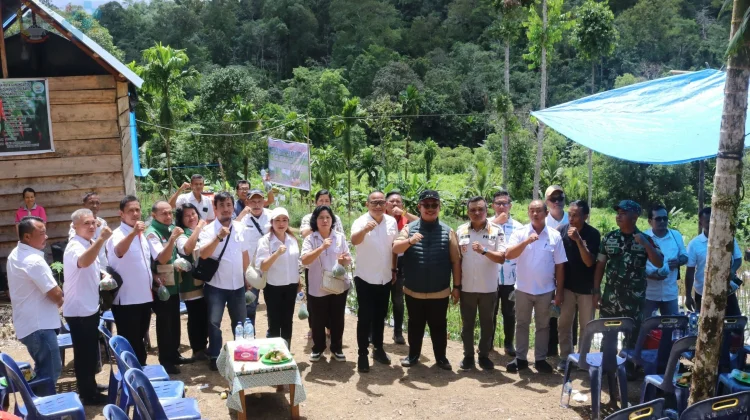 Panen Cabai Perdana, Bukti Desa Maju dan Mandiri