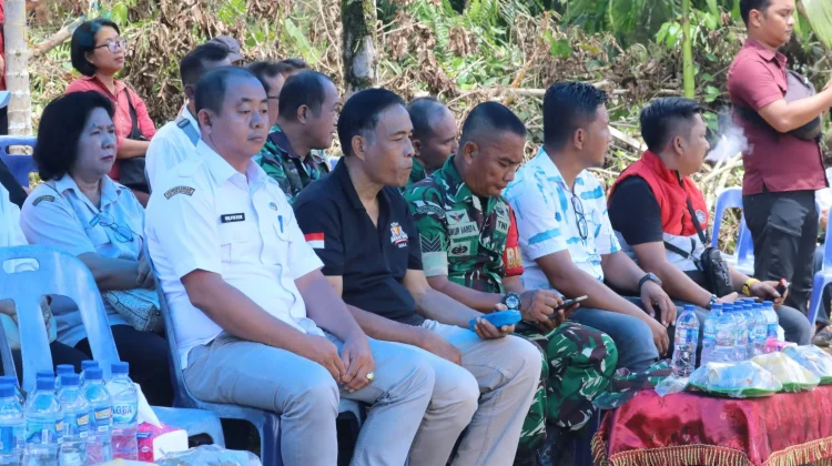 Panen Cabai Perdana, Bukti Desa Maju dan Mandiri
