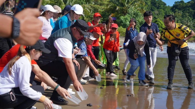 Hijaukan Kota, Selamatkan Laut: Pemko Lepas Tukik