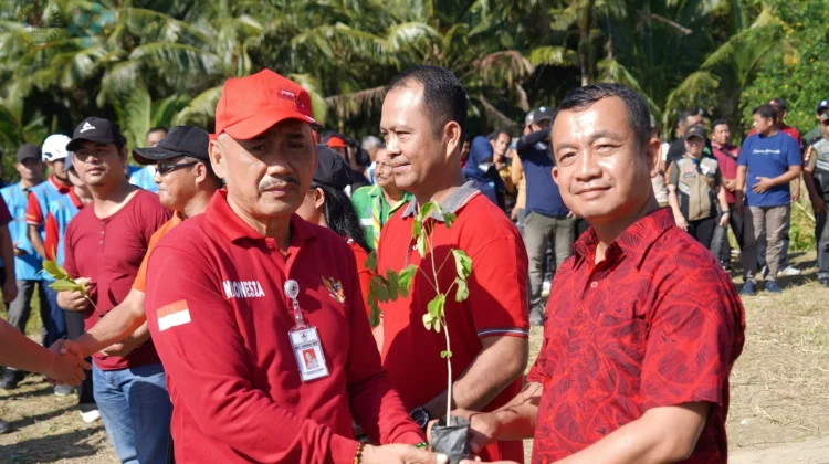 Hijaukan Kota, Selamatkan Laut: Pemko Lepas Tukik