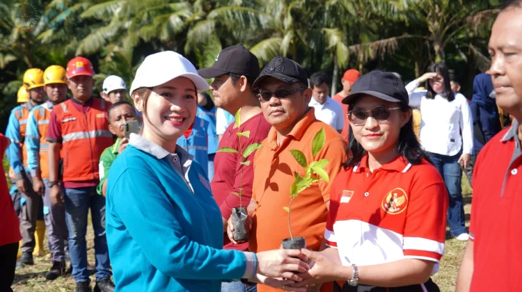 Hijaukan Kota, Selamatkan Laut: Pemko Lepas Tukik