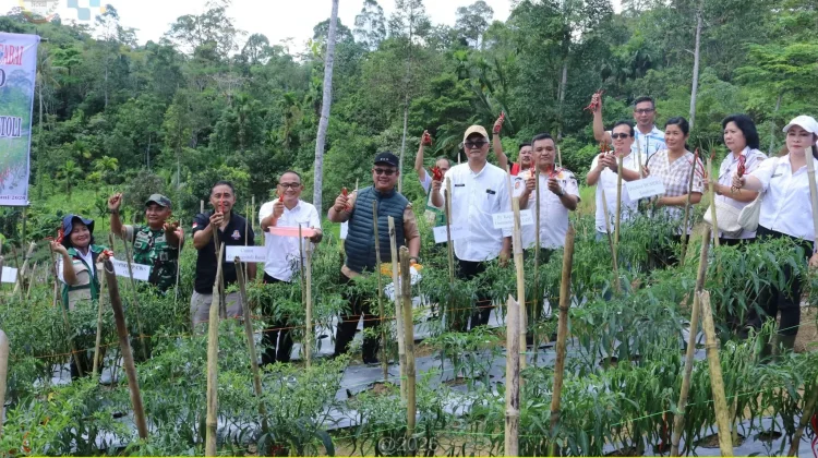Dukung Program Ketahanan Pangan Melalui Budidaya Cabai