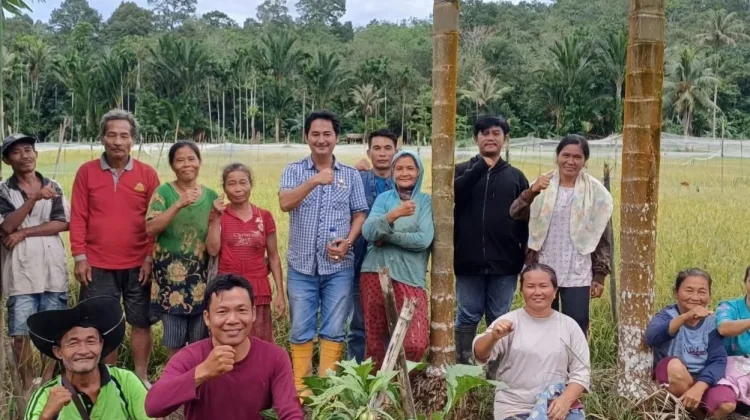 Kadis DKPP Nias Barat Kunjungi Petani di Hamparan Sawah Geri'i
