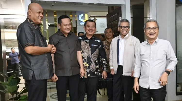 Kepala Daerah Kepulauan Nias Silaturahmi dengan Wakil Menteri Keuangan