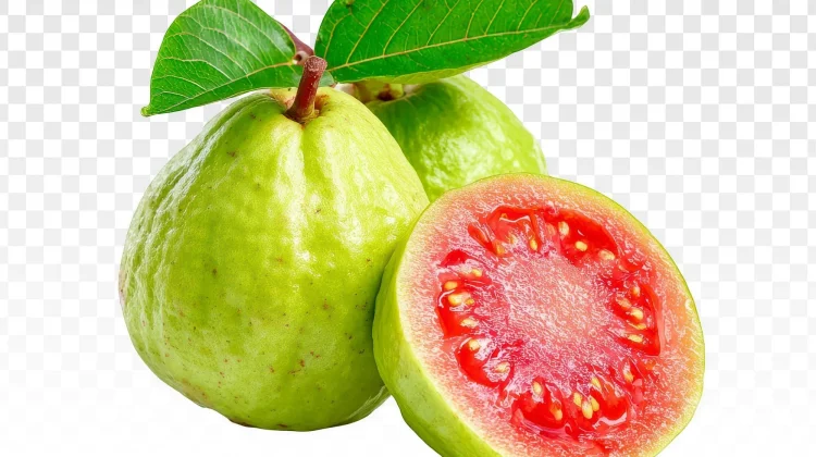 Jambu Biji Memperkuat Daya Tahan Tubuh