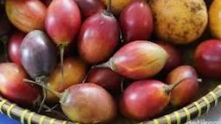 Tips Membuat Jus Terong Belanda