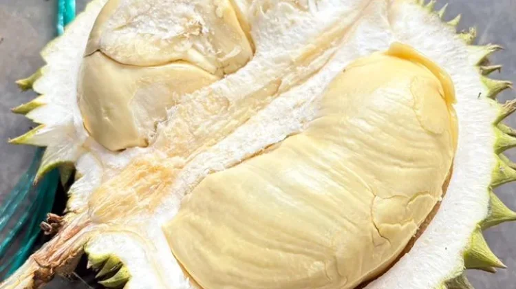 Musim Durian, Nikmat Dikonsumsi dengan Tetap Perhatikan Kesehatan